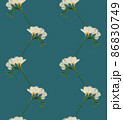 Freesia white blooming flower twig seamless pattern illustration on blue background 86830749