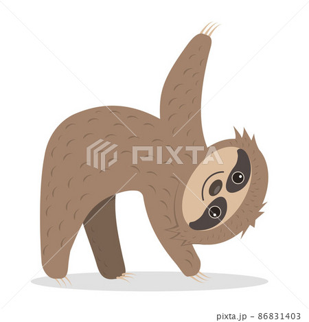 Cute sloth character doing yoga, isolated vector illustration 86831403