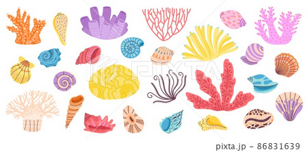 Corals. Sea coral, weeds and seashell. Ocean reef doodle elements. Shells decoration, underwater or aquarium objects. Marine decent vector objects 86831639
