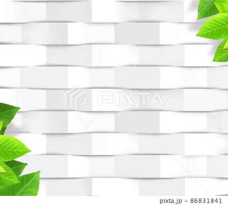 緑の植物の葉っぱと抽象的な白い紙の立体グラフィックデザインイラスト壁紙ベクター素材 86831841