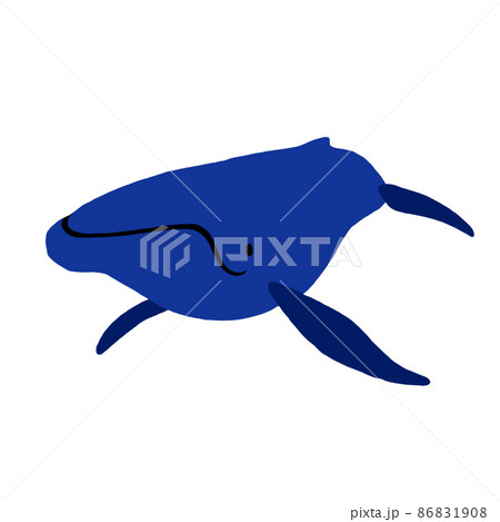 クジラ（ザトウクジラ） 86831908