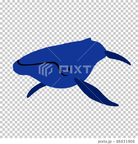 クジラ（ザトウクジラ） 86831908