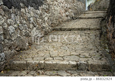 那覇市金城町の美しい石畳道 86832924