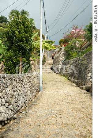 那覇市金城町の美しい石畳道 86832936