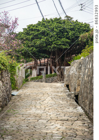 那覇市金城町の美しい石畳道 86832993