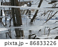 氷のオブジェ4 86833226
