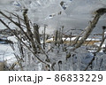 氷のオブジェ1 86833229