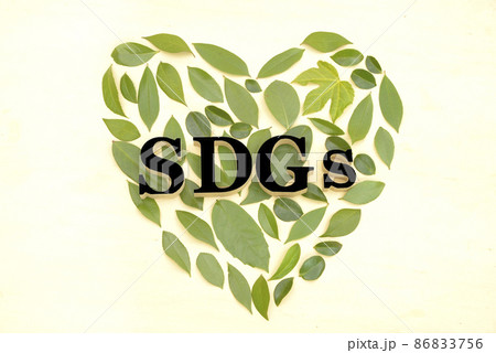 ハート形に並べた木の葉とSDGs ハート形に並べた木の葉とSDGs 86833756