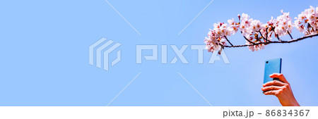 桜 を スマホ で 撮影 する 【 春 の 花見 の イメージ 】 桜 を スマホ で 撮影 する 【 春 の 花見 の イメージ 】 86834367