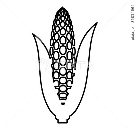 Corn ear contour outline line icon black color vector illustration image thin flat style 86834664