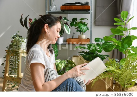 Woman chilling and reading in living room, Artificial plant, Fiddle leaf fig tree, Indoor tropical Woman chilling and reading in living room, Artificial plant, Fiddle leaf fig tree, Indoor tropical 86836000
