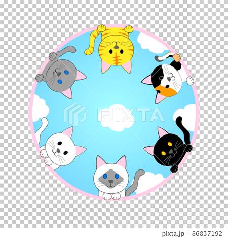 貓的框架:虎斑貓、印花布貓、暹羅貓、黑貓、諾拉貓 貓的框架:虎斑貓、印花布貓、暹羅貓、黑貓、諾拉貓 86837192