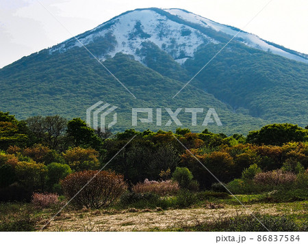 写真、青森八甲田山の遅い春 山桜が咲き匂う八甲田山の遅い春 写真、青森八甲田山の遅い春 山桜が咲き匂う八甲田山の遅い春 86837584