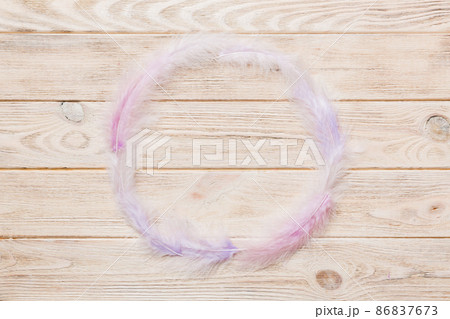 Frame of brightly colored dyed bird feathers on Colored background, top view Frame of brightly colored dyed bird feathers on Colored background, top view 86837673