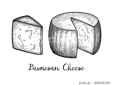 Parmesan cheese ink sketch. 86838206
