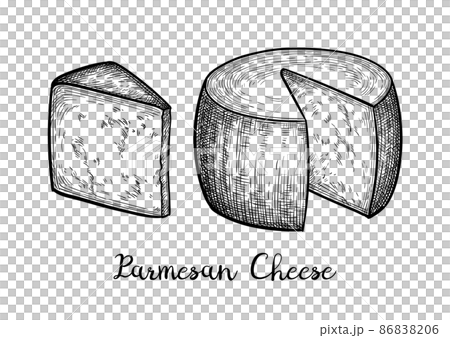 Parmesan cheese ink sketch. 86838206