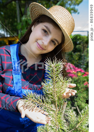 A vendor brags about a new variety of pine available for sale. A vendor brags about a new variety of pine available for sale. 86839949