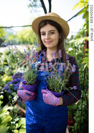 A worker holds pots of heather flowers in both hands. Garden Shop. 86840002