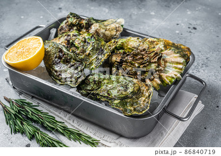 Fresh closed oysters, raw seafood with lemon and ice in steel tray. Gray background. Top view 86840719
