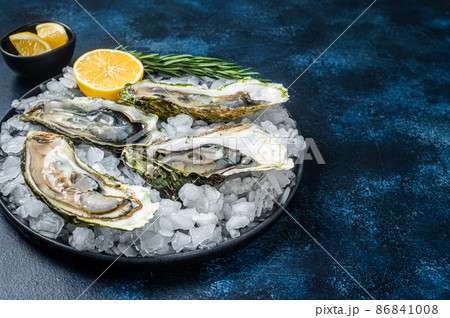 Seafood appetizer - Opened Fresh oysters with lemon and ice. Blue background. Top view. Copy space Seafood appetizer - Opened Fresh oysters with lemon and ice. Blue background. Top view. Copy space 86841008