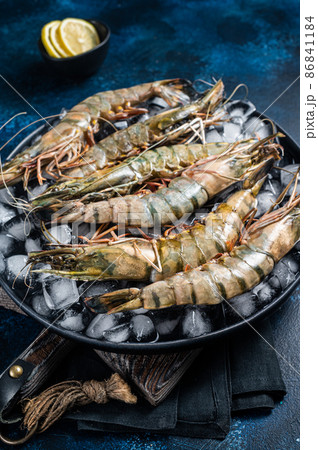 Giant Black tiger prawns shrimps on a plate with ice. Raw Seafood. Blue background. Top view Giant Black tiger prawns shrimps on a plate with ice. Raw Seafood. Blue background. Top view 86841184