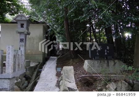 成石神社　半田市 86841959