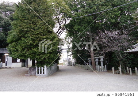 成石神社　半田市 86841961