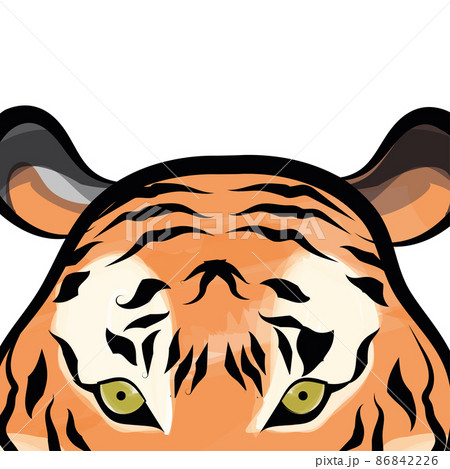 Close look of a colored asian tiger face Vector Close look of a colored asian tiger face Vector 86842226