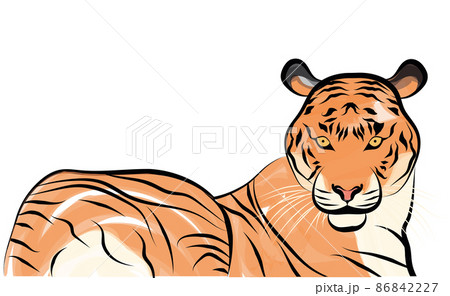 Sitting colored chinese tiger with details Vector Sitting colored chinese tiger with details Vector 86842227