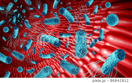 Microbiome In The Gut Microbiome In The Gut 86842812