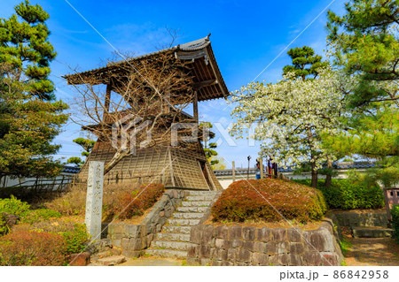 埼玉県　行田市　忍城の鐘と満開の桜 86842958