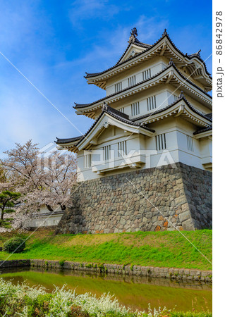 埼玉県　行田市　忍城と満開の桜 86842978