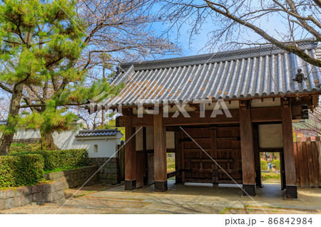 埼玉県　行田市　忍城の高麗門と満開の桜 86842984