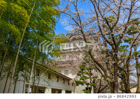 埼玉県　行田市　忍城と満開の桜 86842993