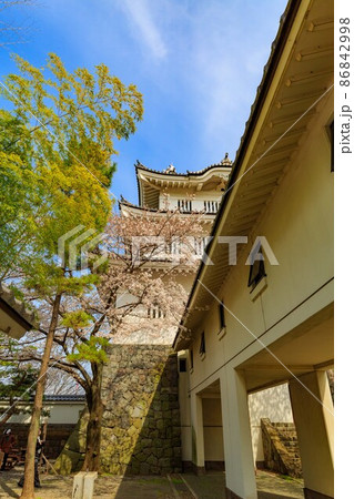 埼玉県 行田市 忍城と満開の桜 埼玉県 行田市 忍城と満開の桜 86842998