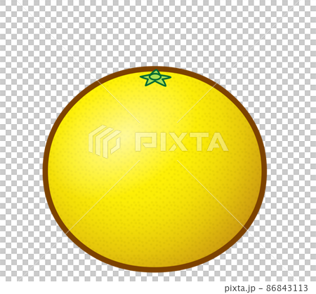 Delicious grapefruit 86843113