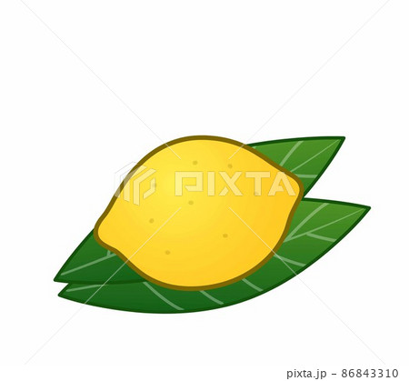 美味しいレモン 86843310