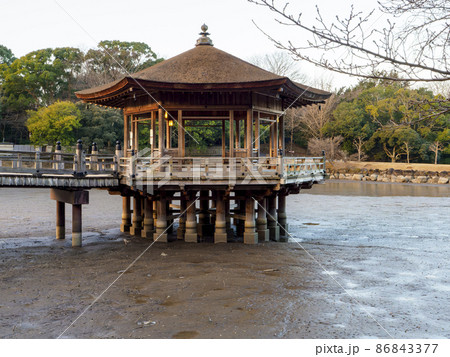 浮御堂と水が抜かれた池 86843377