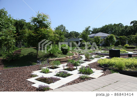 庭園とレストラン_函館大沼 86843414