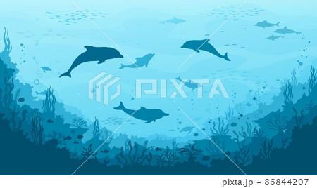 Dolphin silhouettes, seaweed and reef, fish school on underwater landscape. Sea bottom flora and fauna, seafloor world vector background. Deep sea life nautical wallpaper with dolphin pod, corals Dolphin silhouettes, seaweed and reef, fish school on underwater landscape. Sea bottom flora and fauna, seafloor world vector background. Deep sea life nautical wallpaper with dolphin pod, corals 86844207