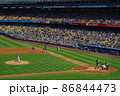 ドジャースタジアム 86844473