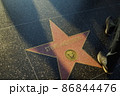 ウォークオブフェイム 86844476
