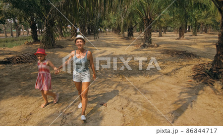 Mom and daughter for a walk. Woman tourist with plait walks looking around at growing young trees with lush leaves at oil palm farm elaeis guineensis Mom and daughter for a walk. Woman tourist with plait walks looking around at growing young trees with lush leaves at oil palm farm elaeis guineensis 86844717