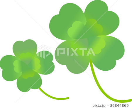 四つ葉のクローバー 二本 グリーン 四つ葉のクローバー 二本 グリーン 86844869