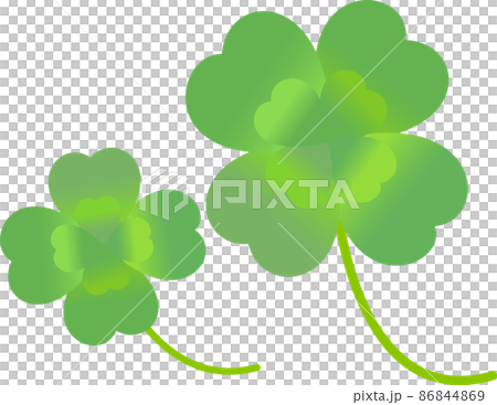 四つ葉のクローバー 二本 グリーン 四つ葉のクローバー 二本 グリーン 86844869