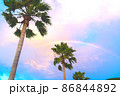 ヤシの木　青空　虹 86844892