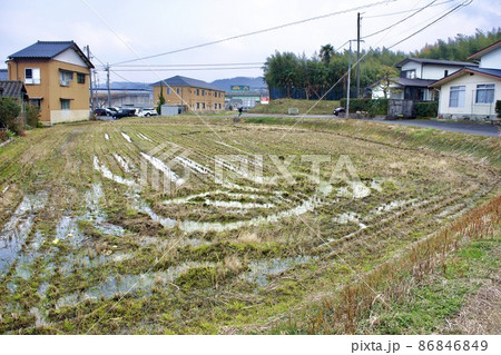 郊外の住宅地に隣接した小さな田んぼ 86846849
