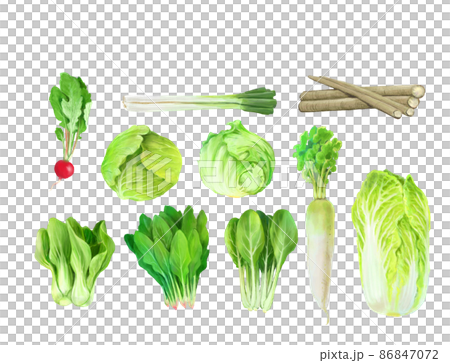 野菜セット_水彩手描き 野菜セット_水彩手描き 86847072