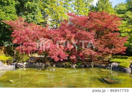 西山公園　嚮陽庭園 86847750