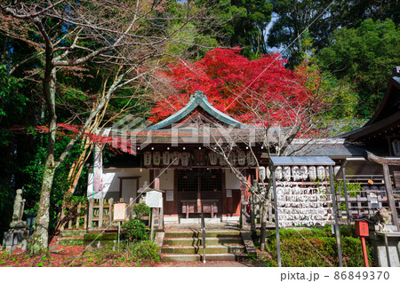 京都　熊野若王子神社（くまのにゃくおうじじんじゃ）の紅葉 86849370